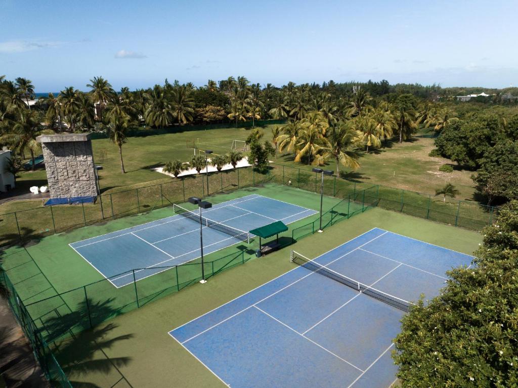 Tenisa laukumi ar zilo segumu, ko ieskauj zaļi palmu koki un plaša zāles zona, kas redzama attēla fonā. Ideāla vieta sporta aktivitātēm un atpūtai.