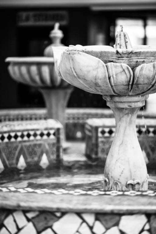 Marmora strūklaka ar zieda formas trauku, kas atrodas uz krāsainām mozaīkām. Melnbaltā krāsā izceļas eleganta arhitektūra un atsvaidzinoša ūdens plūsma.