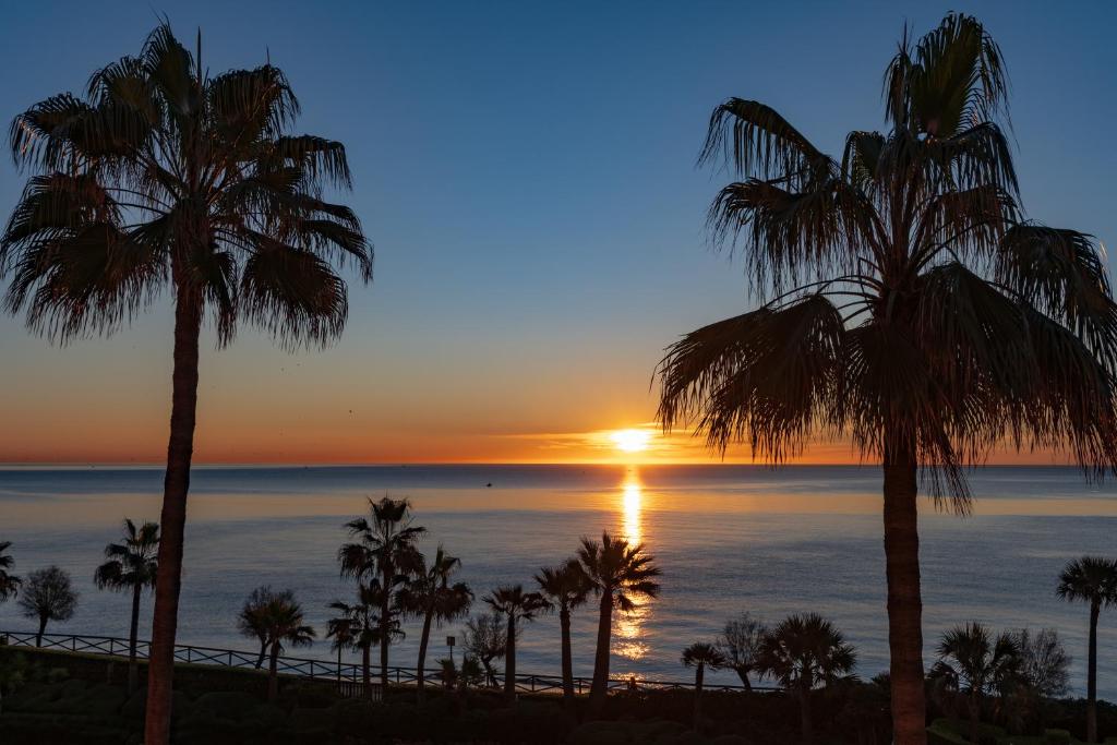 Saulriets pār mierīgu okeānu, ko rotā palmu silueti, radot tropisku atmosfēru. Skats uz pludmali un jūru ar dzidru debesu fonu.