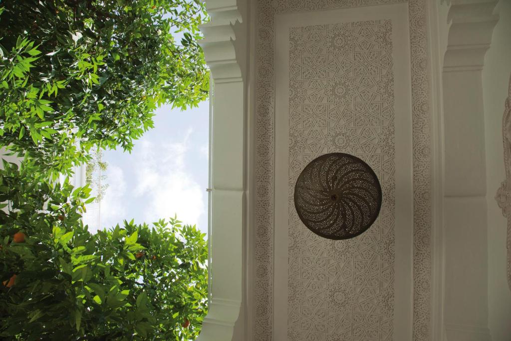 Skaista arhitektūra ar izsmalcinātu griestu dizainu un sulīgu zaļumu, kas ieskauj telpu. Gaisotni papildina eleganta lampiņa centrā.