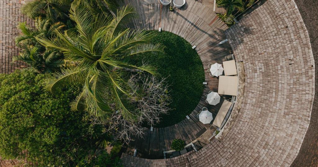 Tropu dārza skats no augšas, kur redzami zaļie augi un palmas, apņemot apaļu koka terasi ar baltām sauļošanās krēslām un lietussargiem.