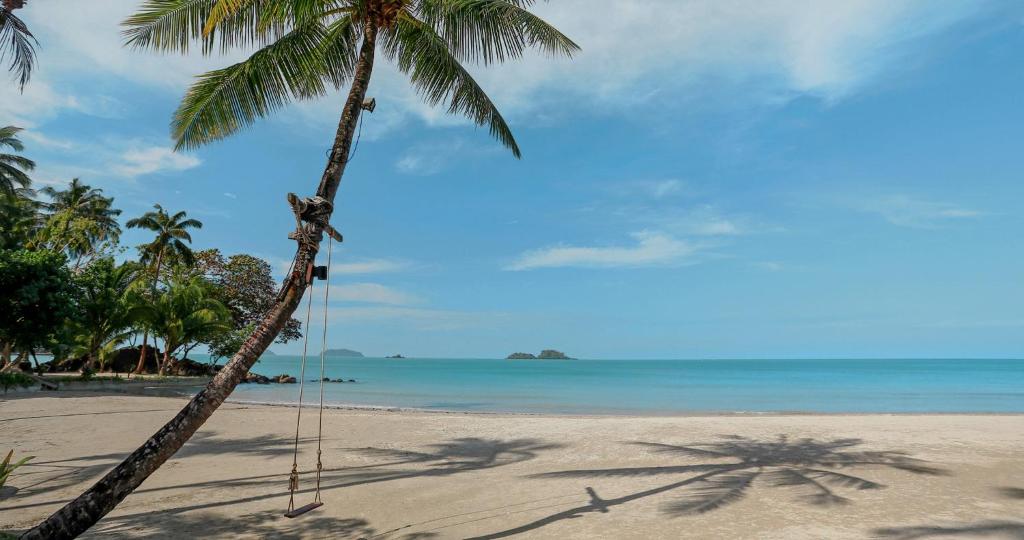 Tropu pludmale ar šūpolēm, kas piestiprinātas pie palmas, un skats uz mierīgu jūru. Zilais debesis un zaļie koki veido relaksējošu atmosfēru.