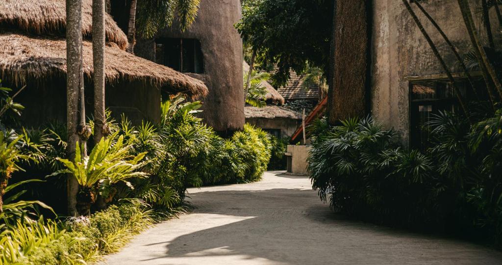 Taisnstūraina taciņa, kas ved cauri tropiskai ainavai, ar zaļām palmām un sulīgām augiem abās pusēs, blakus tradicionālām mājām ar salmu jumtiem.