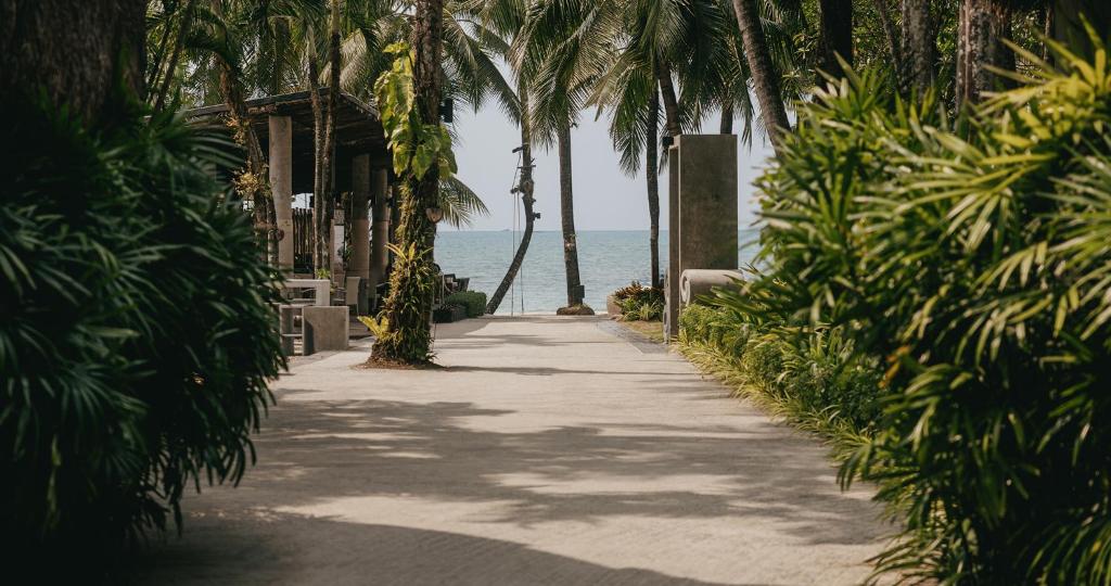 Tropu ainava ar akmeņiem un palmām, vedot uz pludmali. Ceļš iet cauri zaļumiem, radot mierīgu atmosfēru.