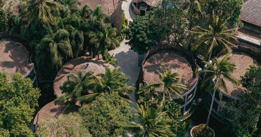 Apskatāma ainava ar apaļām ēkām, kas ieskautas tropu augiem un palmu kokiem, radot mierīgu un relaksējošu atmosfēru.