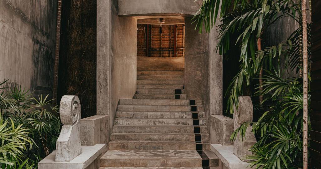 Mūsdienīgs kāpņu telpas dizains ar betona kāpnēm un tropiskām palmām, kas veido harmonisku vidi. Kāpnes ved uz gaišu telpu ar koka griestiem.