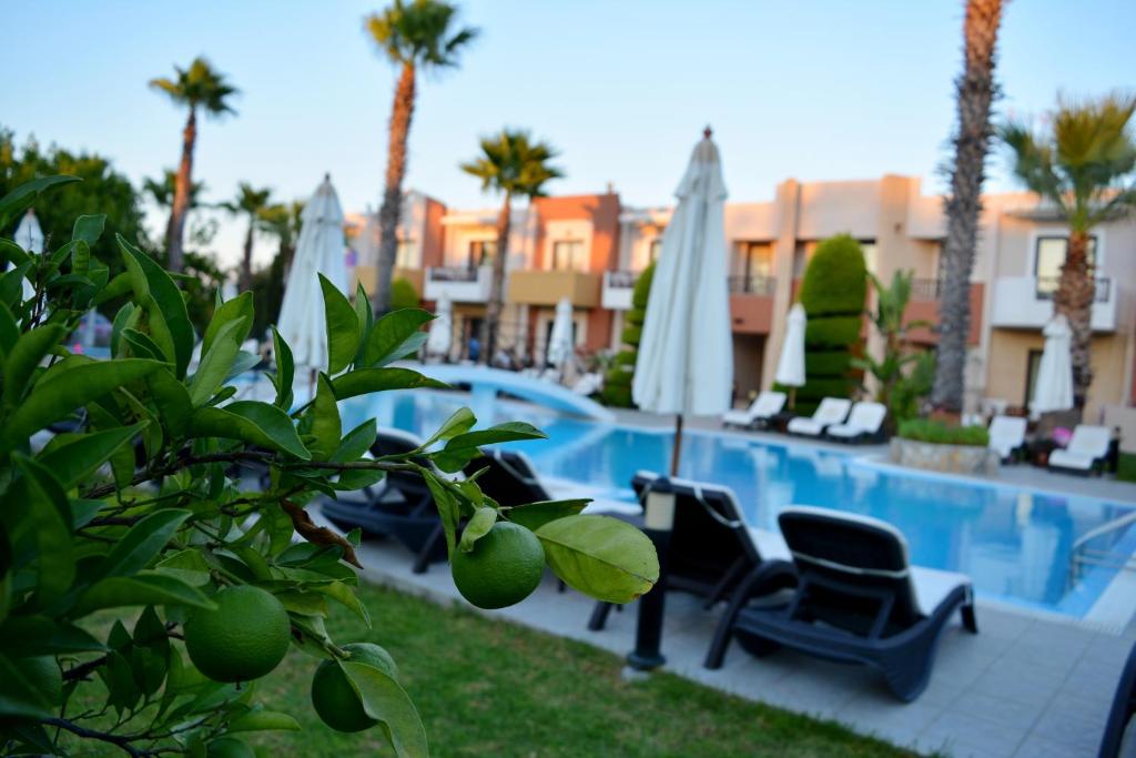 Peldbaseins ar saulainu apkārtni un palmu kokiem, ar zaļiem augļiem tuvplānā. Ideāla atpūtas vieta.