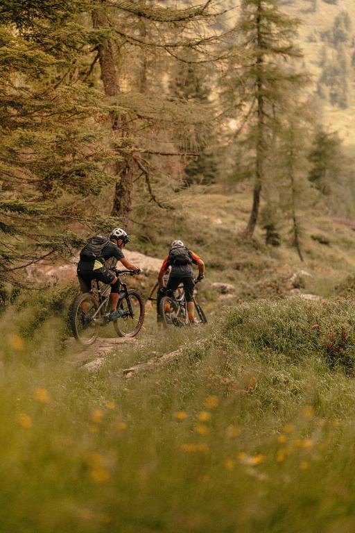 Kalnu riteņbraucēji, kas brauc pa meža taku, ieskauti zaļās zāles un ziedu ainavā.
