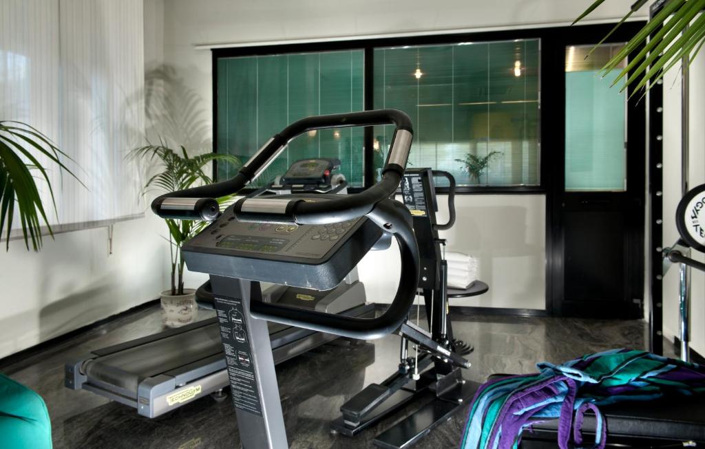 Mūsdienīga trenažieru telpa ar skrejceliņu un citiem trenažieriem, apzaļumota ar telpaugiem. Telpa ir gaiša un funkcionāla, radot patīkamu vidi treniņiem.