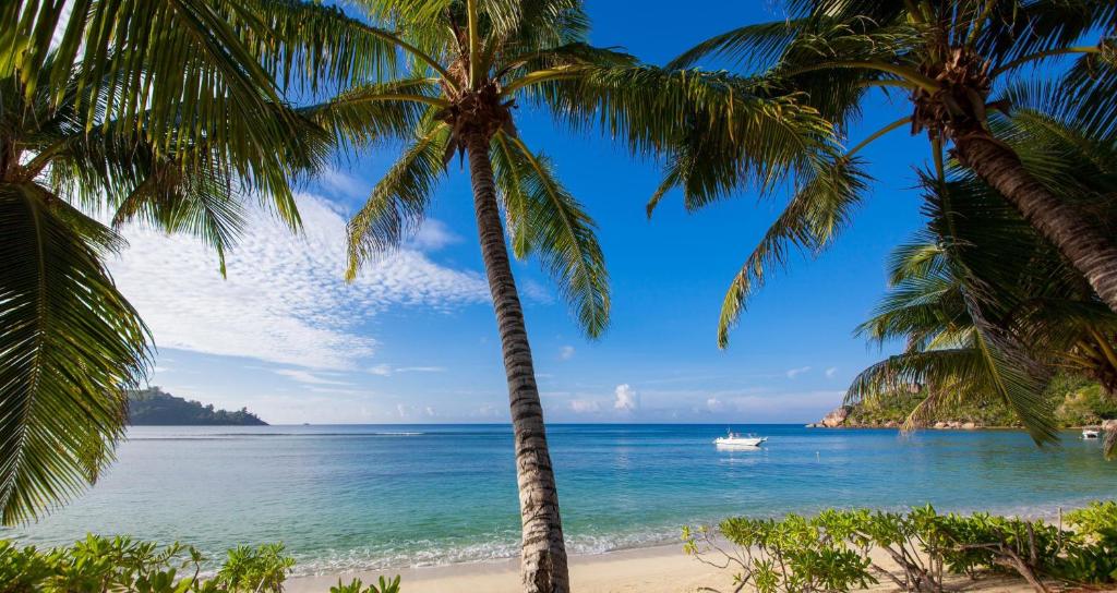 Kempinski Seychelles Resort gleznainā pludmale ar palmām un tirkīzzilo okeānu