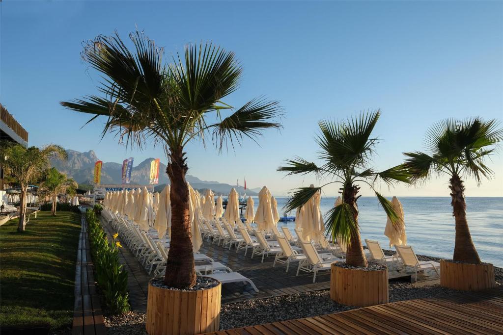 Sauļošanās krēslus un palmas pie jūras DoubleTree by Hilton Antalya-Kemer
