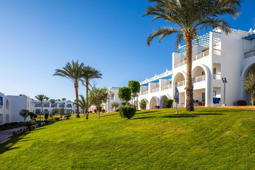 Pickalbatros Palace Sharm El Sheikh viesnīca ar palmu ainavu