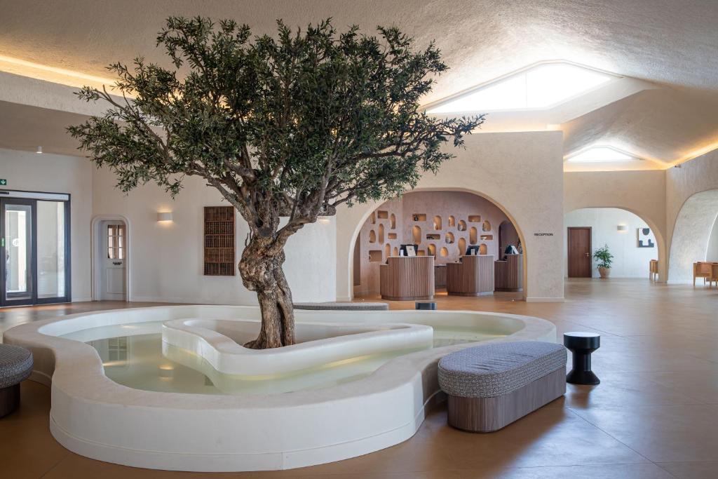 Mangia's Sardinia Resort modern lobby with olive tree centerpiece.