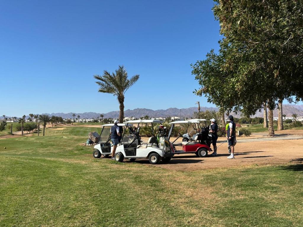 Golfa kardi pie Pickalbatros Golf Luxury Suites ar palmu kokiem un kalniem fona