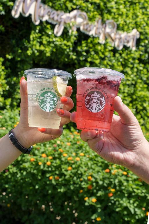 Divi dzērieni ar citronu un ogām pie Mirage Park Resort