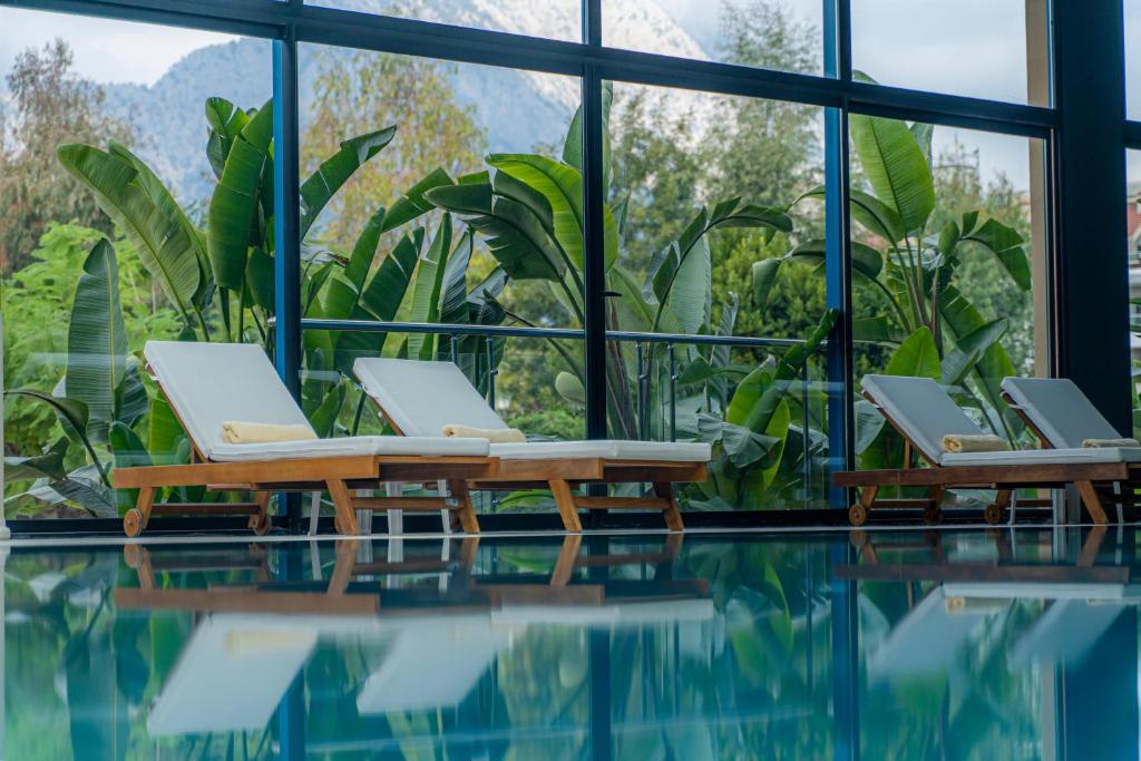 Mirage Park Resort baseina zona ar sauļošanās krēsliem un zaļiem augiem