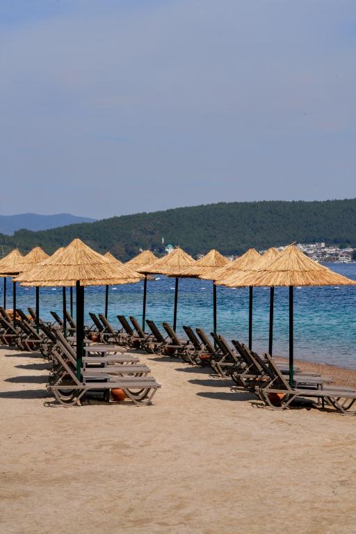 Pludmale ar saules krēsliem un saulessargiem, La Blanche Island Bodrum