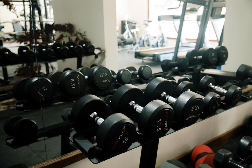 SBH Monica Zanzibar trenažieru zāle ar hantelēm un skrejceliņiem.