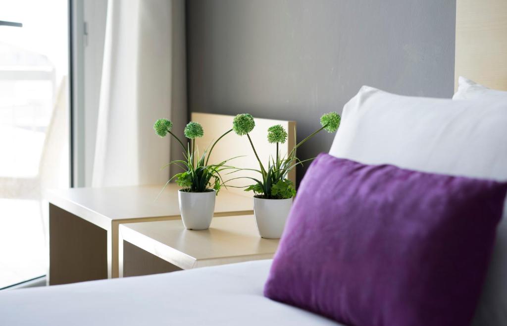 Mūsdienīga guļamistaba ar ērtu gultu un dekoratīvām augu kompozīcijām uz naktsgaldiņa. Purple spilvens piešķir krāsu un komfortu telpai.