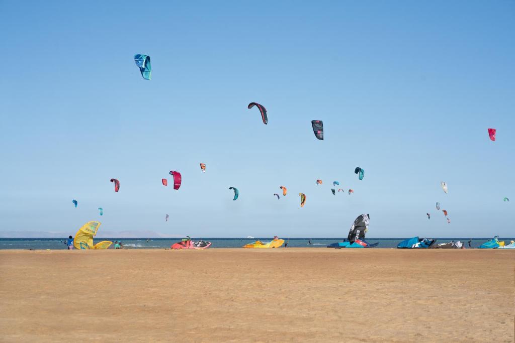 Kitesurfing piekrastē pie Cook's Club El Gouna