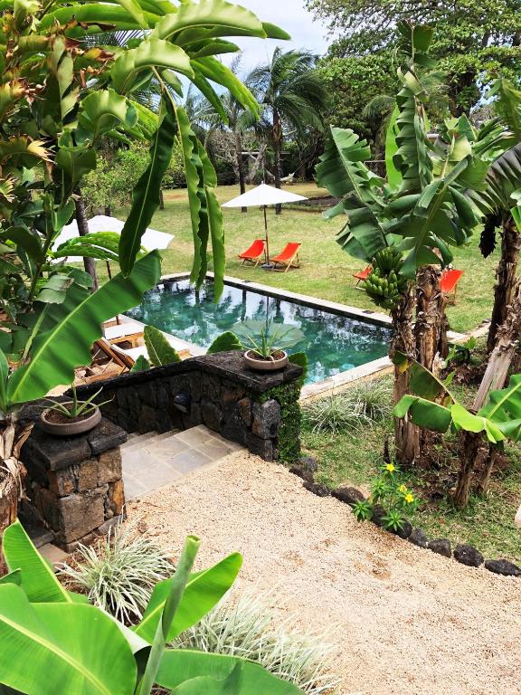 Kaz'alala Hosted B&B peldbaseins ar saulessargiem un tropu augiem.