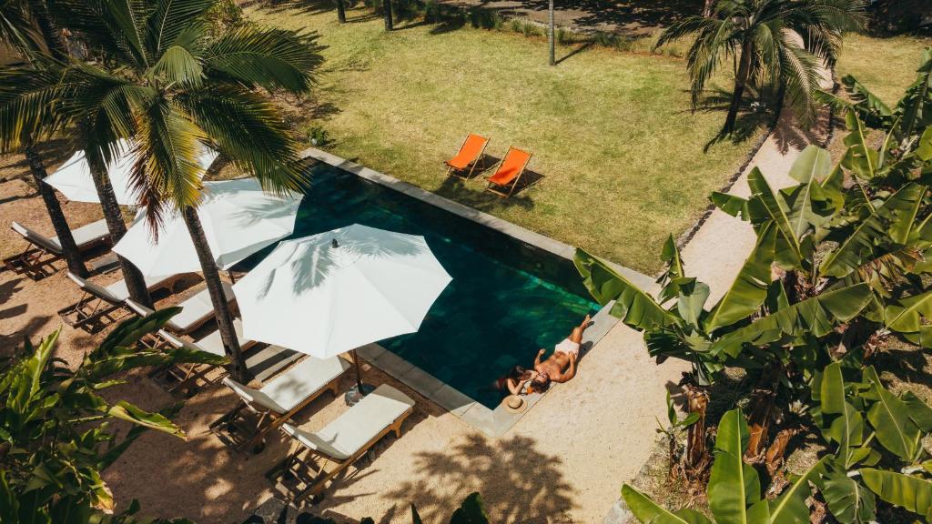 Kaz'alala Hosted B&B peldbaseins ar atpūtas krēsliem pie palmām