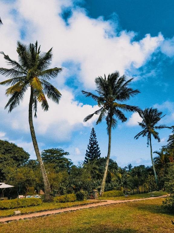 Sauļots parks ar palmu kokiem un zilu debesi pie Kaz'alala Hosted B&B
