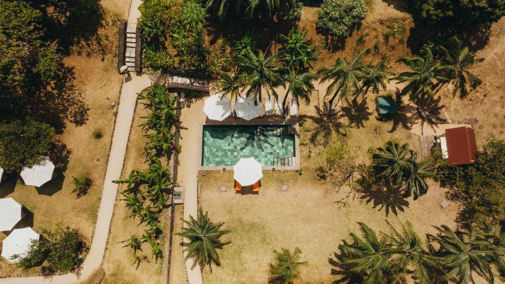 Kaz'alala Hosted B&B peldbaseins piekrastē, ieskauts palmu dārzā.