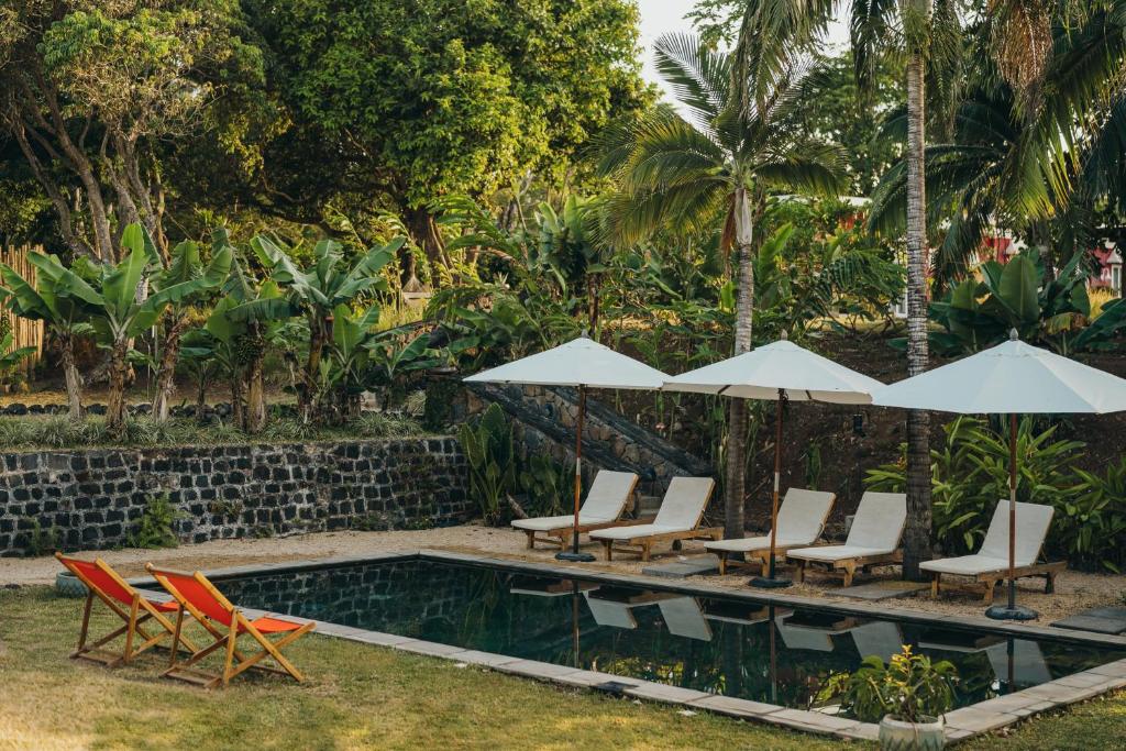 Kaz'alala Hosted B&B peldbaseins ar saulessargiem un atpūtas krēsliem