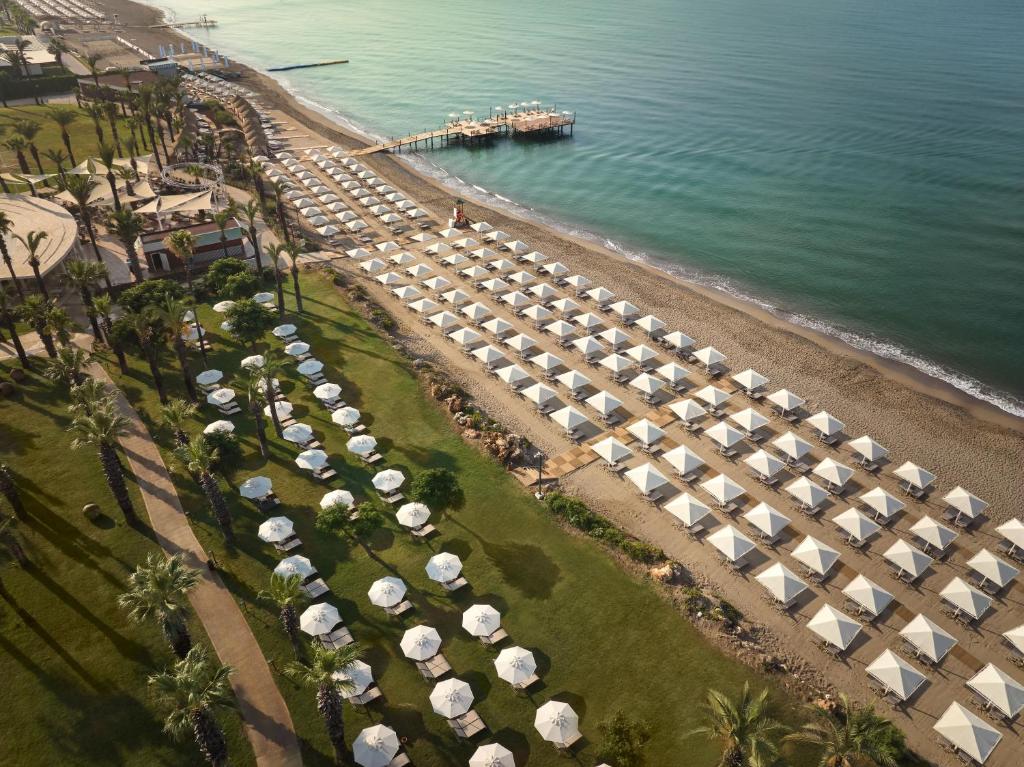 Paloma Grida pludmale ar saulessargiem un palmām