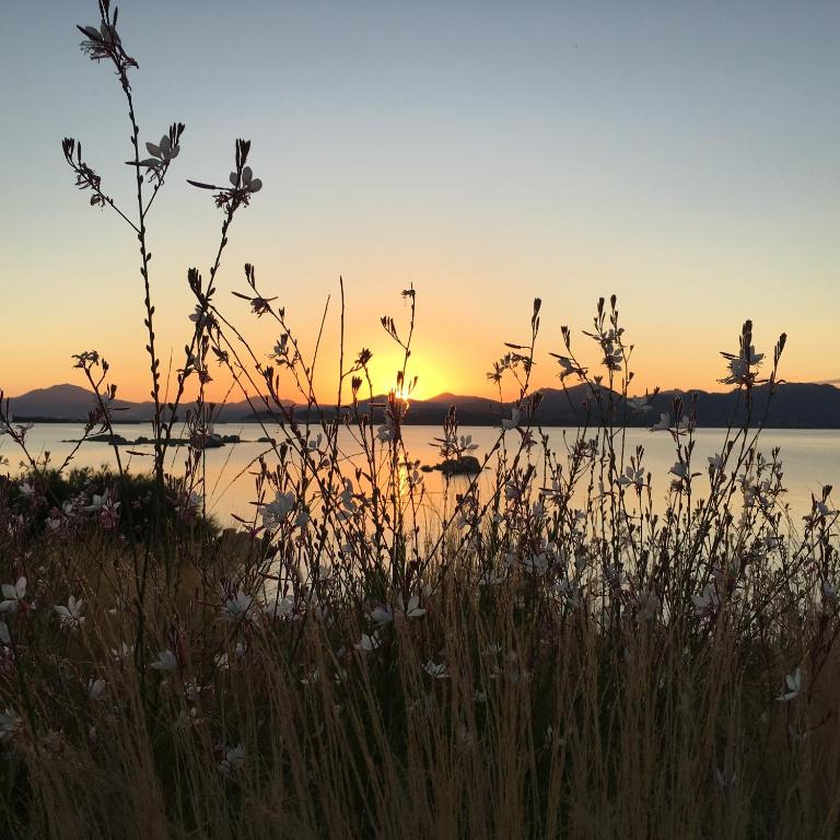 Saulriets pie jūras pie viesnīcas Cala Cuncheddi