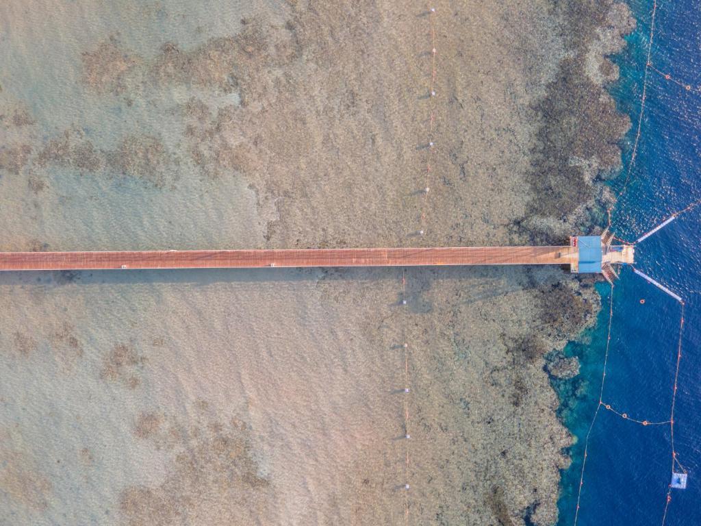 Skats uz tiltu un koraļļu rifu pie Pickalbatros Palace Sharm El Sheikh