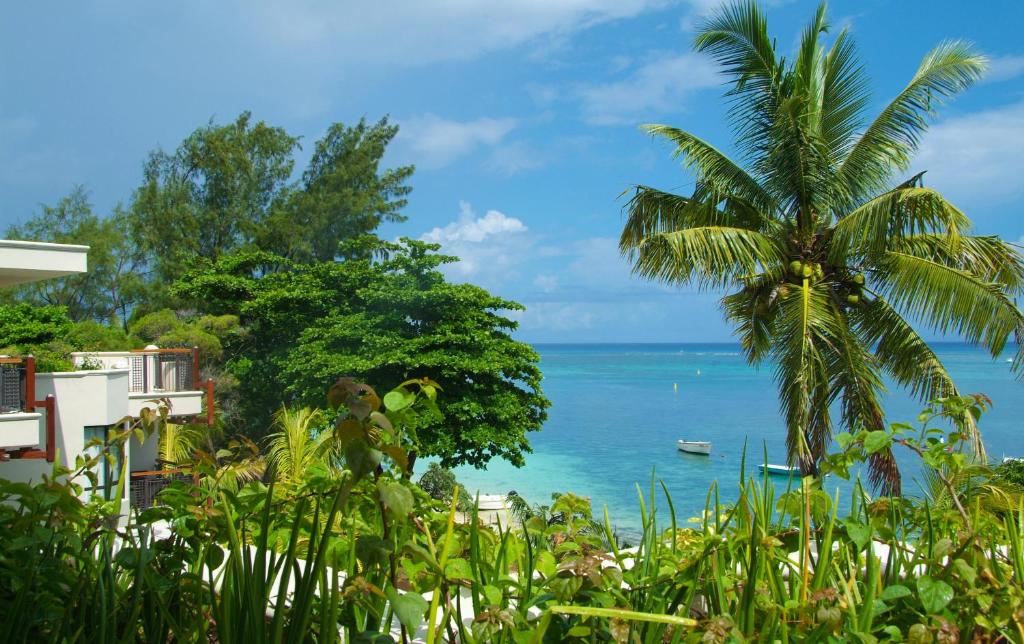 Tropu ainava ar palmām, zaļiem krūmiem un zilu jūru, kas veido mierīgu un atpūtu veicinošu vidi.