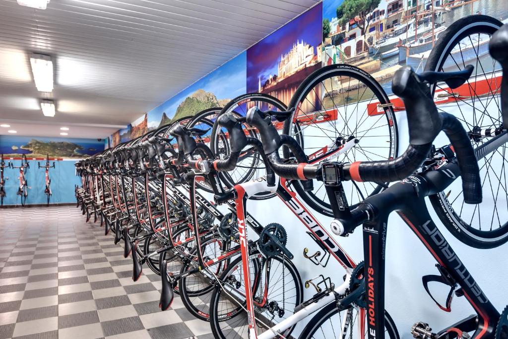 Velosipēdu noma ar moderniem riteņiem, kas sakārtoti rindā uz fona ar ainavas attēliem.