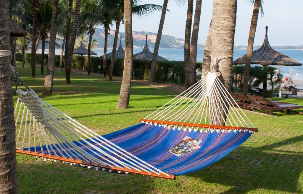 Mierīga šūpuļtīkla aina starp palmām, ar skatu uz jūru un saulainu zāli. Ideāla vieta relaksācijai un atpūtai.