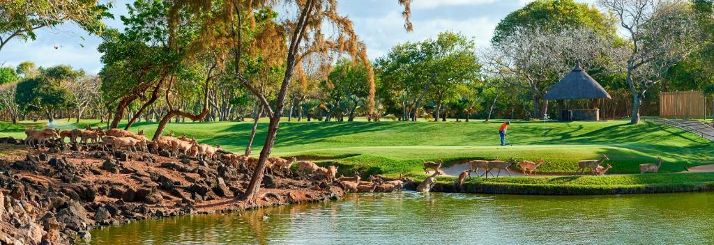 Zaļš golfa laukums ar ainavisku ūdenstilpni, blakus kurā ganās brieži, radot mierīgu un dabiski skaistu vidi. Golferis spēlē laukuma tuvumā, akcentējot harmoniju starp dabu un sportu.
