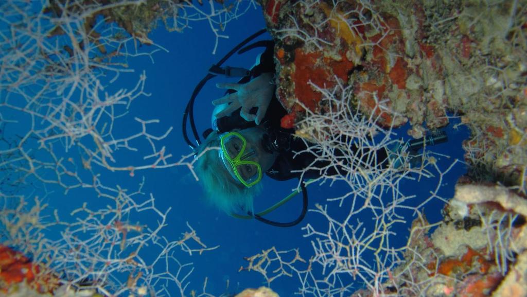 Zinātnieks, kas veic niršanu, skatās uz kameru caur jūras augu un koralliem piepildītu ūdeni.