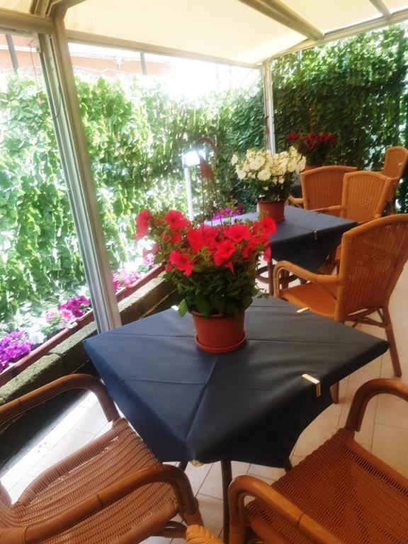 Skaisti ziedi podiņā rotā galdu kafejnīcā ar rattan krēsliem un zaļu augu fona. Ideāla vieta relaksācijai un baudīšanai.