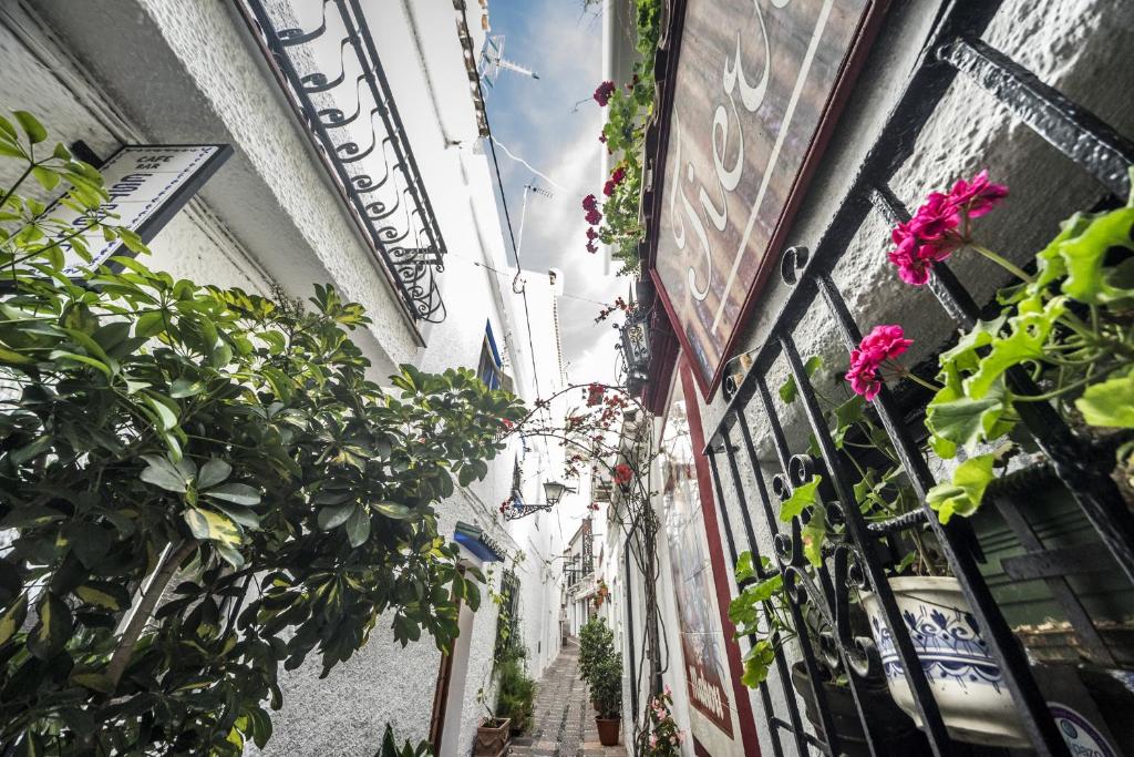 Šaura iela ar baltām sienām, dzelzs žogu un ziedošām puķēm, kas rotā apkārtni. Gaisā redzami ziedi un augi, radot patīkamu atmosfēru.