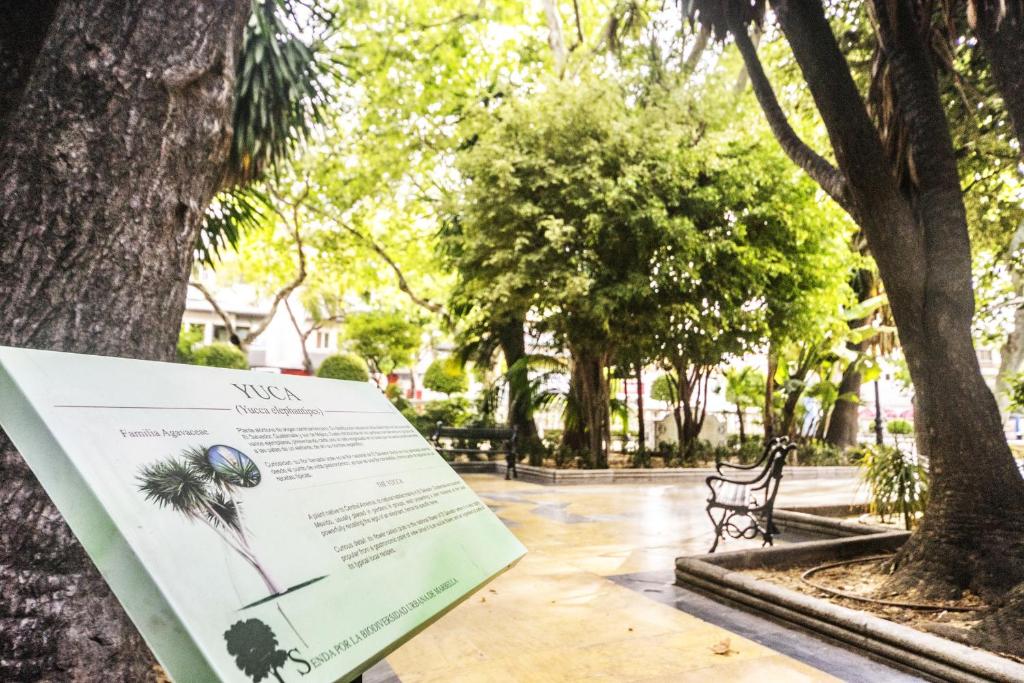 Dārzā redzama informācijas zīme par jūku, kas attēlo augu un tā ģimeni, apkārtne ir zaļa un koka. Zīme sniedz informāciju par auga īpašībām un aprakstu.