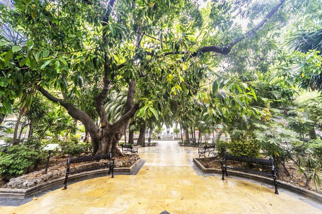 Labi kopts dārzs ar bagātīgu zaļumu un soliņiem, kas aicina atpūsties. Ceļš izklāts ar dzeltenu akmeni, veidojot mierīgu atmosfēru.