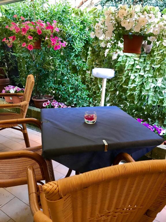 Mierīga kafejnīcas terase ar ratiņu krēsliem un galdu, uz kura atrodas svece, apkārt ziedošu puķu podi un zaļumi.