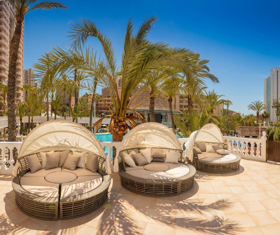 Atpūtas zona ar modernām šūpuļkrēslām un palmu kokiem, kas piedāvā mierīgu atmosfēru pie baseina. Ideāla vieta atpūtai un relaksācijai saulainā dienā.