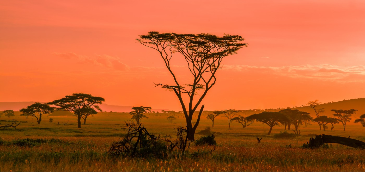 Serengeti nacionālais parks Tanzānijā – saulrieta burvība Vanilla Travel ekskursijā
