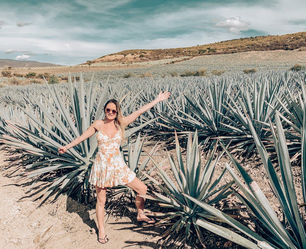 Agaves lauki Oašakā – mezcal degustācijas pieredze Vanilla Travel ceļojumā