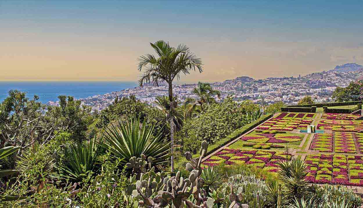 Funchal botāniskais dārzs Madeirā - tropu oāze ostas ekskursijā ar Vanilla Travel