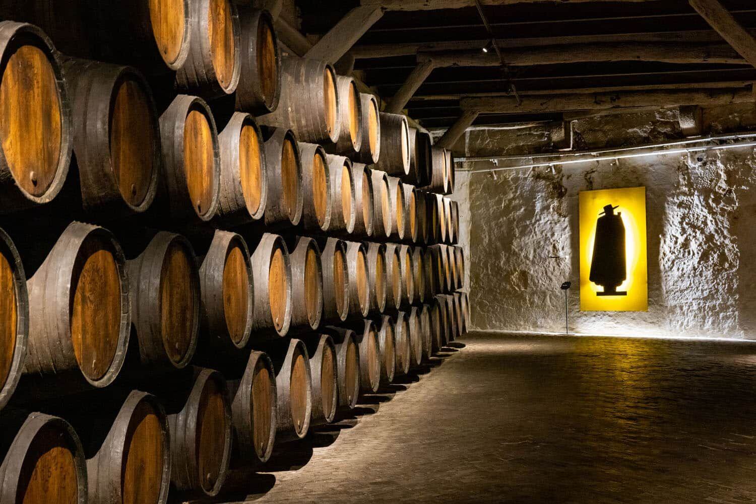 Sandeman vīna pagrabs Porto – portvīna degustācija Douro ielejā Vanilla Travel ceļojumā