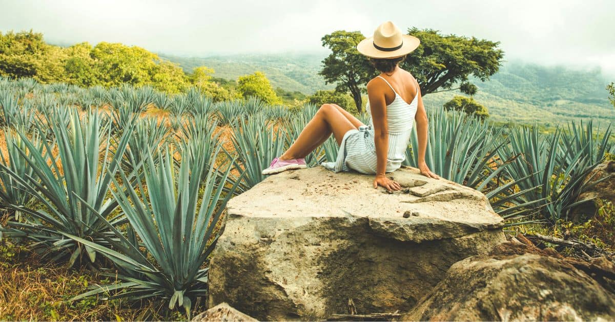 Agaves lauki Oahākā – mezcal degustācija un tradīcijas Vanilla Travel ceļojumā