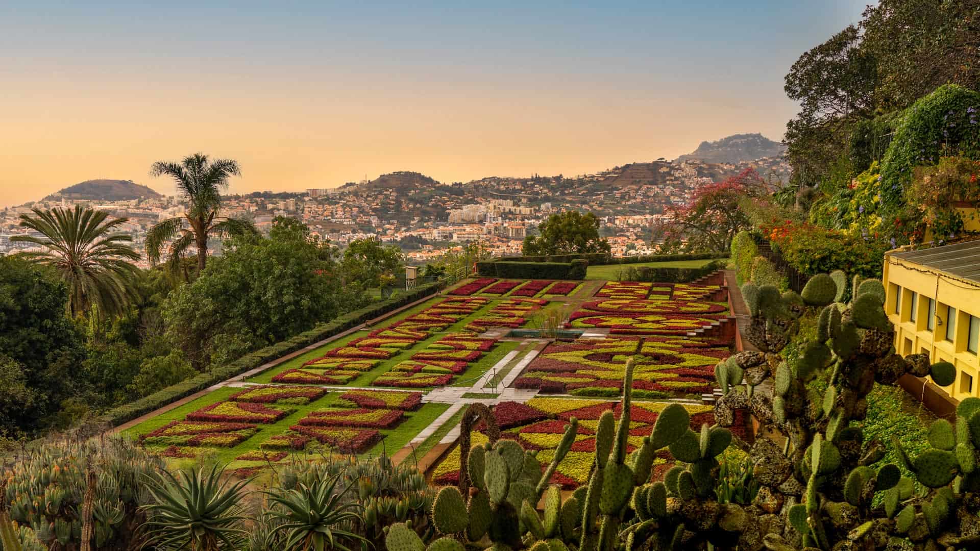 Funchal botāniskais dārzs Madeirā - tropu augi un saulriets kruīza piedzīvojumā