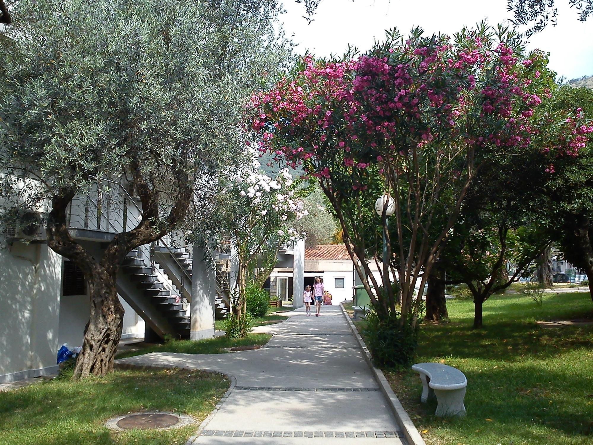 Pastaiga pa skaistu dārzu ar ziedošiem kokiem un viesmīlīgu celiņu, kas ved uz ēkām. Viegli zaļumi un ziedi rada mierīgu atmosfēru. panoramic view with beach and pools